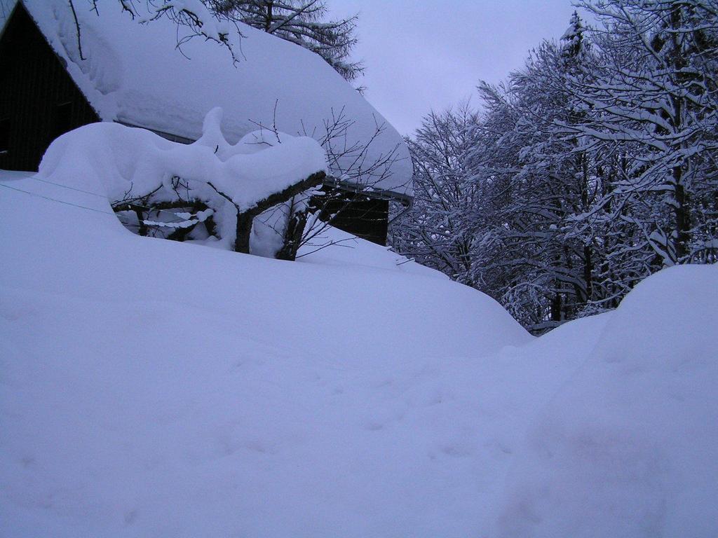 Na Slunecni Pohadkova Chaloupka Ve Sladke Dire Příchovice Εξωτερικό φωτογραφία